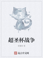 超圣杯战争