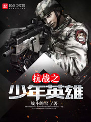 抗战之少年英雄