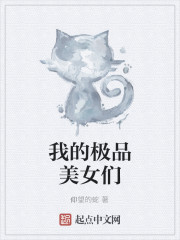 我的极品美女们