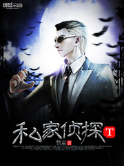 私家侦探T