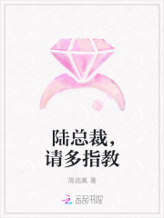 陆总裁，请多指教