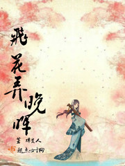 飞花弄晚晖