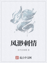 风渺刺情