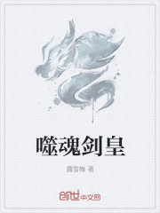 噬魂剑皇