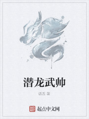 潜龙武帅