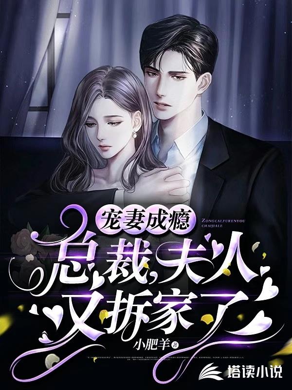 宠妻成瘾：总裁，夫人又拆家了